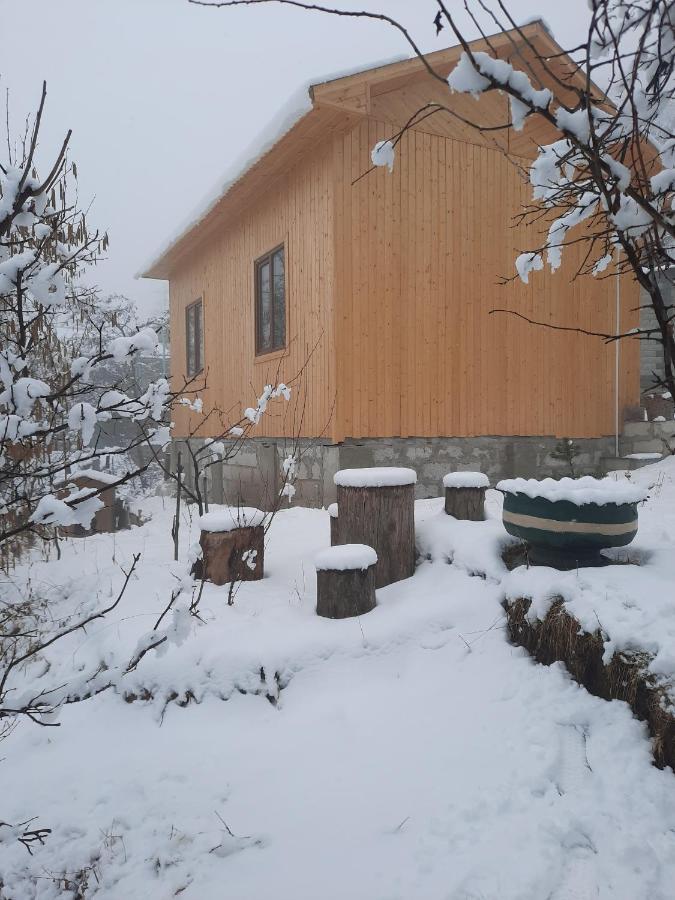 Hotel Family Dilijan Exterior foto