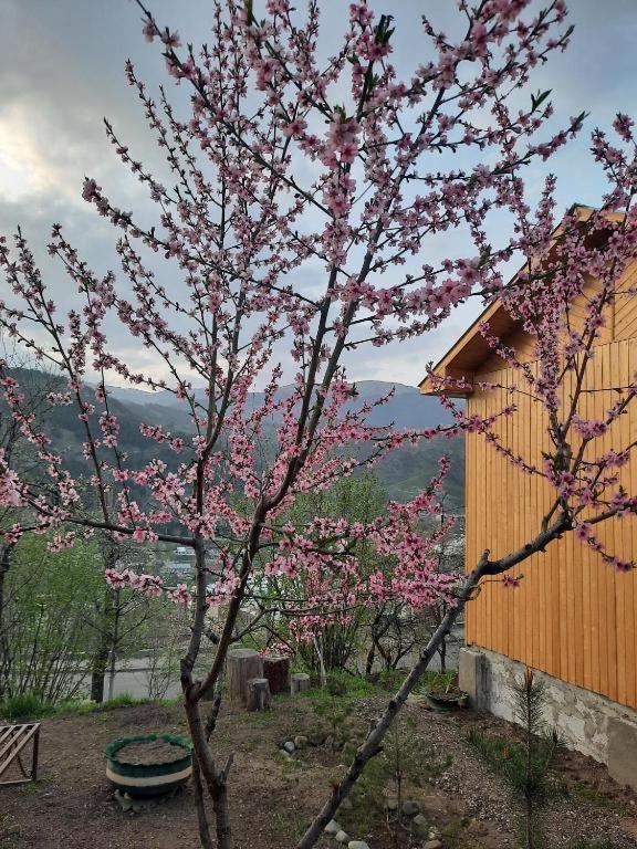 Hotel Family Dilijan Exterior foto